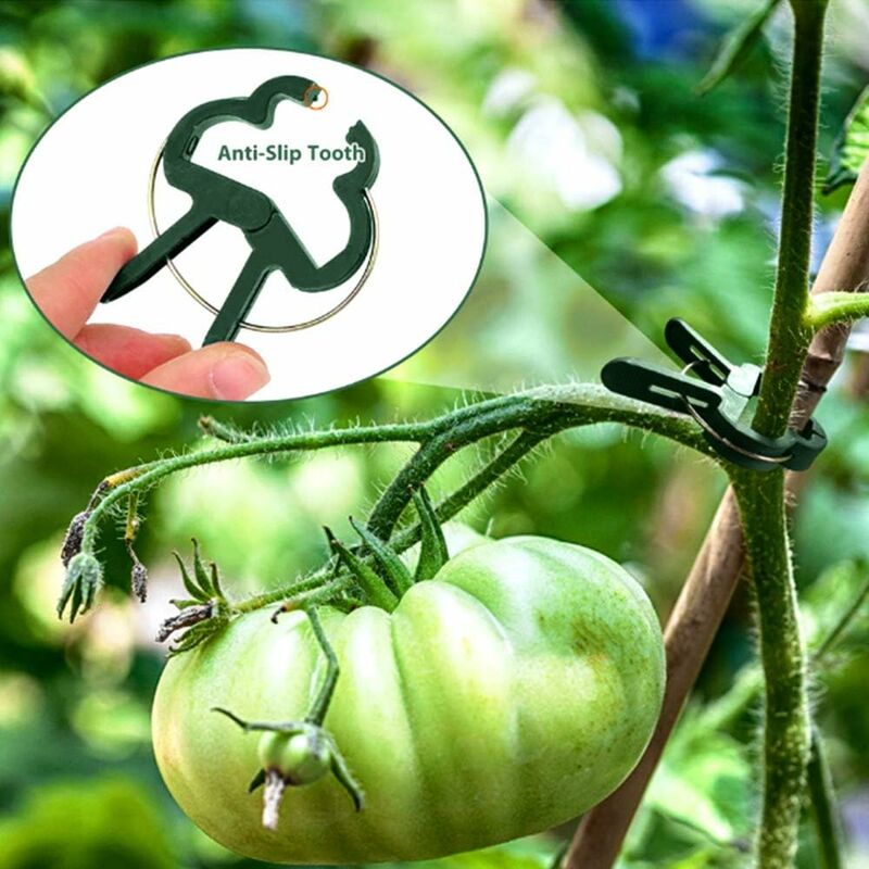 200 Clips Support Plantes Jardin - Attaches Tomates Et Légumes Réutilisables