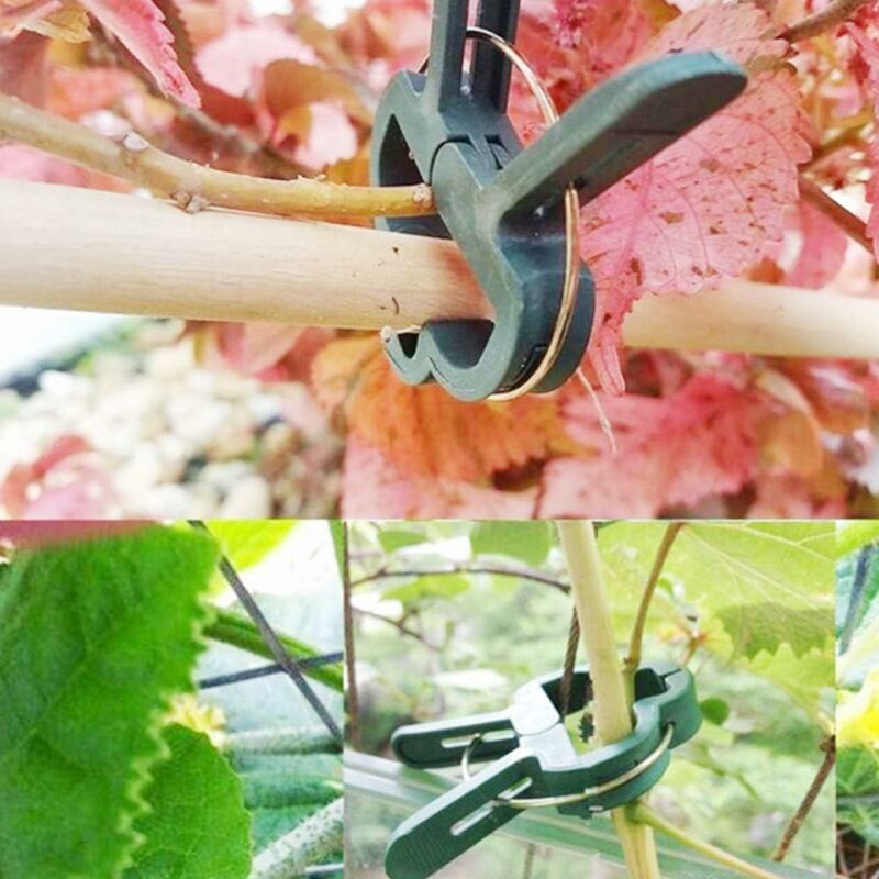 40 Clips De Fixation Pour Plantes Mikikit - En Plastique Vert, Réutilisables - Pour Vignes, Orchidées, Tomates, Etc.