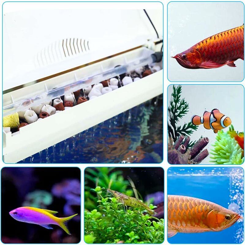 Perles Ceramique Filtration Eau 140g / Environ 55Pcs Ceramique Aquarium  Pour Tous Les Types D'aquariums Et Bassins Stabiliser Le pH de l'eau :  : Animalerie