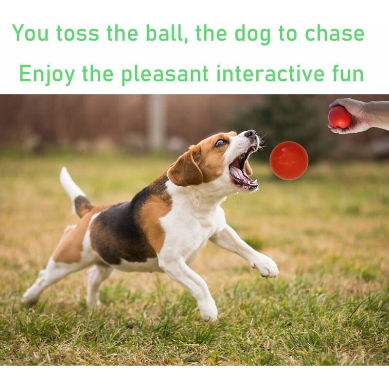 BOOMER BALLE - Balle Pour Chien Quasiment Indestructible, Jouet Résistant Pour Chien, La Balle Flotte Sur L'eau Et Est Idéale Pour Les Chiens Énergiques, 10cm, Envoyé En Rouge Ou En Bleu