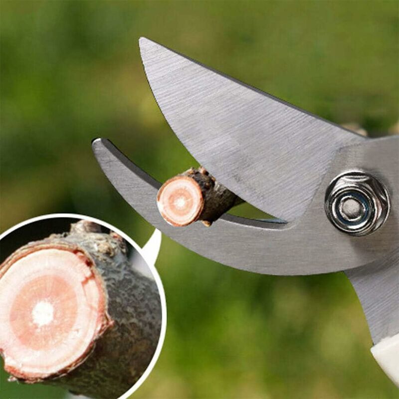 2Pcs Sécateur de Jardinage à Main pour Bonsaï, Ciseaux de Jardin de