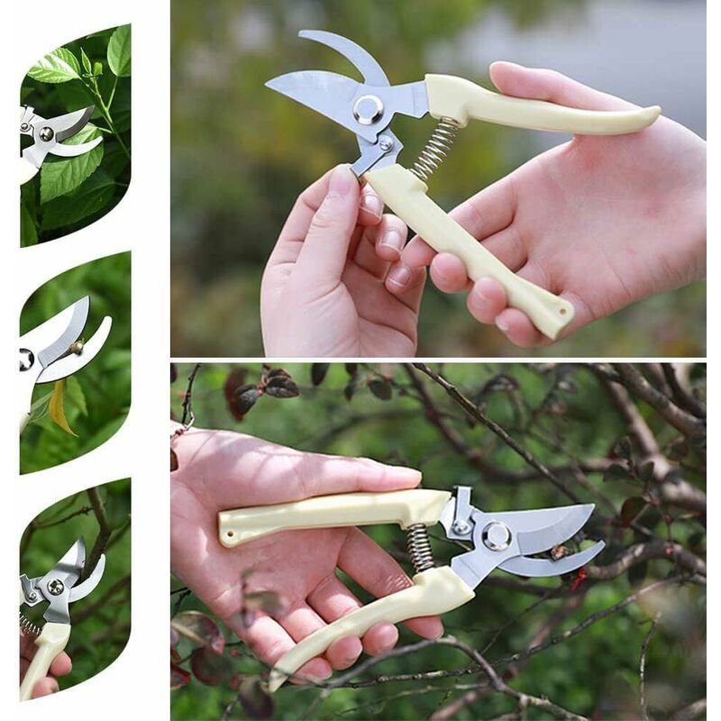 GRÜNTEK Sécateur de Jardin Professionnel SILVERCUT 230 mm, Ciseaux Jardinage Prining Shears Bypass lame 65mm. Qualité professionnelle