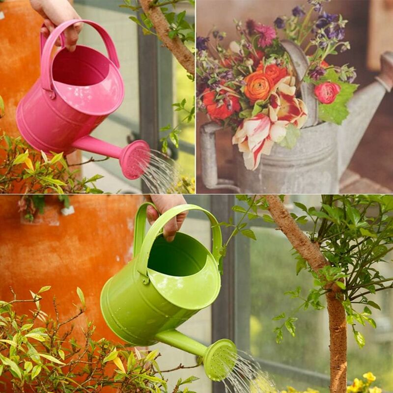 Lot De 6 Têtes D'Arrosoir Vertes + 4 Outils De Jardin Mini - Arrosage Précis Pour Plantes D'Intérieur