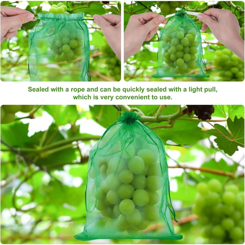 Jardinière,Sacs de Protection de raisin,100 pièces,sac de culture de