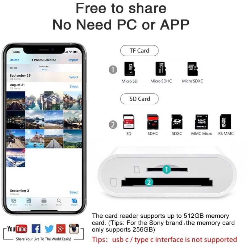 Llano Adaptateur De Lecteur De Carte SD/Micro SD 2 En 1 (prise En