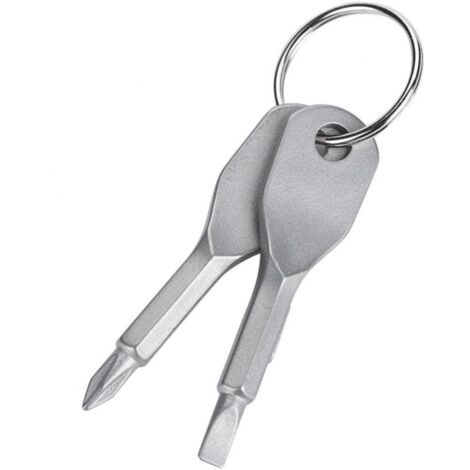 Ensemble de Porte-clés Mini Tournevis, tête Plate Portable en Acier Inoxydable et Outil de Jeu de Tournevis cruciforme Outil EDC Multifonctionnel extérieur Mini Outil de Poche avec Porte-clés (1/5)