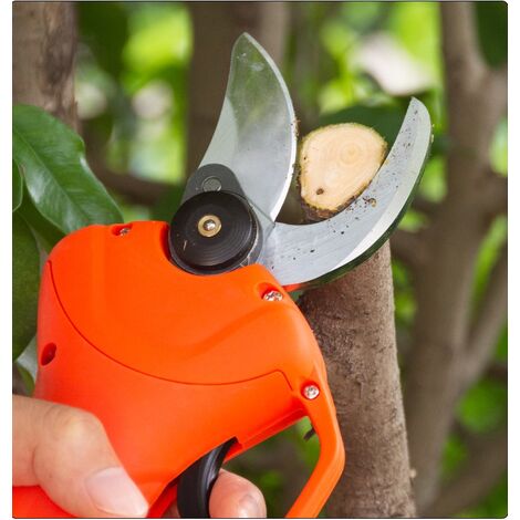 Ciseaux de taille électriques 40 mm sécateur arbre fruitier coupe-branches  ciseau + batterie
