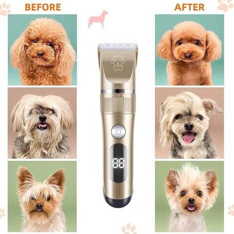 BarberBoss Tondeuse De Toilettage Sans Fil Pour Chien - Imperméable, Lames En Céramique, écran