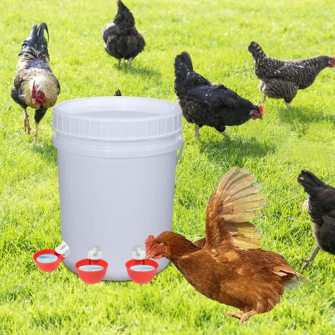 Abreuvoir Pour Poule 8l 5 Pièce Abreuvoirs Automatiques Kit DIY Abreuvoir Poules Abreuvoir Poule Avec Scie à Trou De Pour Poussins Canards Oies Dindes Ou Lapins Abreuvoir Poule 8 Litres Abreuvoir Pour Poule 8l 5 Pièce Abreuvoirs Automatiques Kit DIY Abreuvoir Poules Abreuvoir Poule Avec Scie à Trou De Pour Poussins Canards Oies Dindes Ou Lapins Abreuvoir Poule 8 Litres
