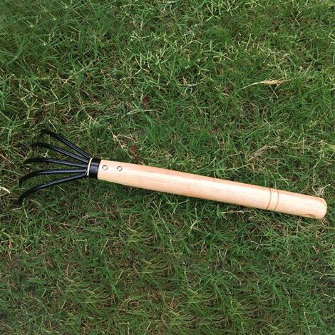 Râteau De Jardin Griffe 3 Dents Acier Inoxydable - Outil Polyvalent Ameublissement Sol