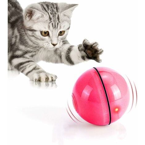 Jouet pointeur laser pour chat, jouets pour chat pointeur laser rouge pour  chats et chiens d'intérieur chaton animal de compagnie interactif chaser jo