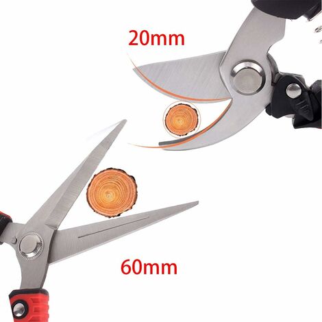 Cisailles De Jardinage 195mm Cisailles à Bonsaï De Jardin