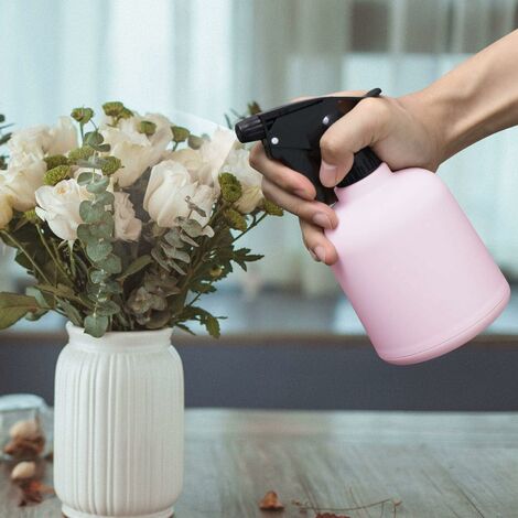 Pulvérisateur à Brume Fine 500ml - Pour Plantes D'Intérieur (Buse Réglable, PP+PET)
