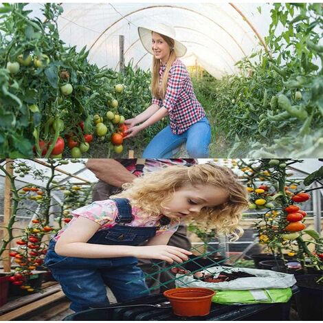 Cadre D'escalade Pour Plantes En Pot - Treillis Pour Plantes