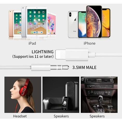 Câble Audio Auxiliaire de Voiture pour iPhone [Certifié MFi] 1M