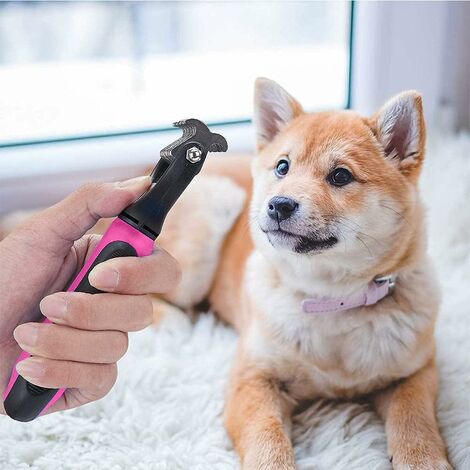 Brosse De Toilettage Pour Chat Et Chien ETIALURE - Dents En Acier, Bouton éjection, Poignée Ergonomique