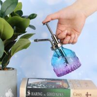 Lot de 2 flacons d'arrosage en verre pour plantes, 19 cm de