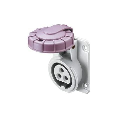 10 degrés IP67 2P 16A 20-25V Câblage à vis violette (1/4)