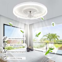Ventilateur de Plafond avec Éclairage