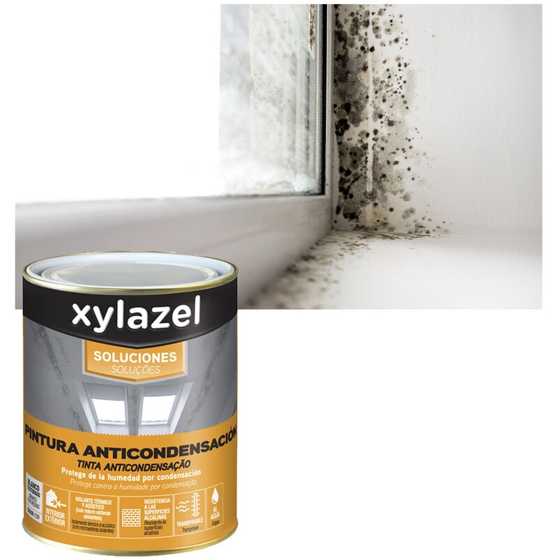 Peinture Anti-humidité Anti-salpêtre Xylazel