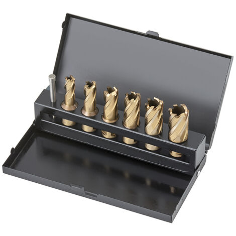 Fervi F002/6 Set de coupes HSS-Co 5% Weldon 6 Pcs. (1/2)