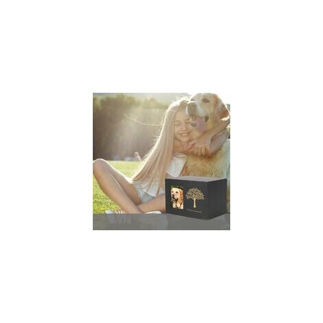 Urne pour Chien Urne Funeraire Chien Bois Noir Urne Chien pour Cendres