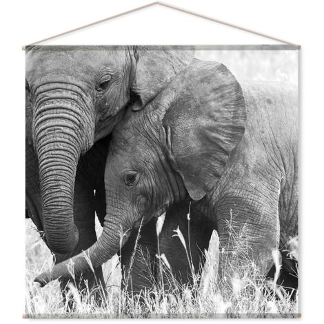Toile murale imprimée éléphant PANORAMA (1/2)