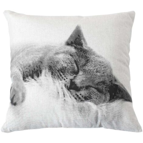Coussin imprimé chat (1/3)