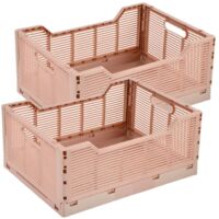 Lot de 2 cagettes pliables grand format FOLDY