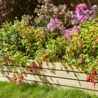 Rowlinson Ledbury Edging Panels 8 Inch - 2 Pack