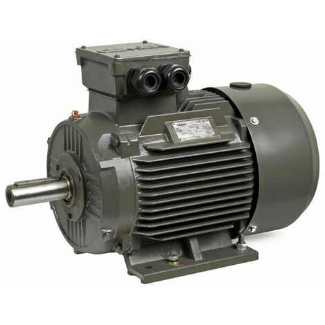 Moteur triphasé CEMER B3, 15 KW, 1500 TR/MIN, HA 160, 400/690V, IE3, Fonte