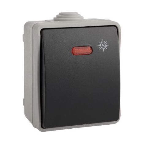 3303IL Interrupteur va et vient lumineux étanche IP54, certifié NF - SOLERA (1/4)