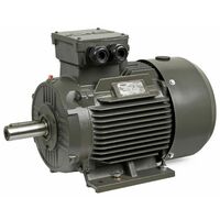 Moteur triphasé CEMER B3, 15 KW, 3000 TR/MIN, HA 160, 400/690V, IE3, Fonte
