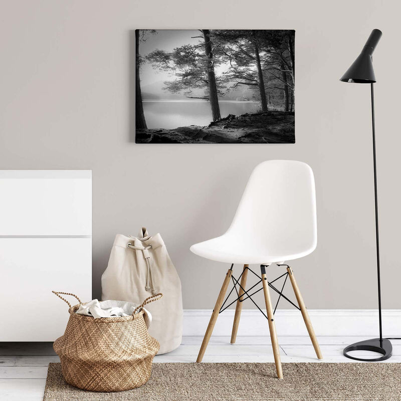 Tableau nature noir blanc Tableau couloir for t lac