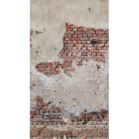 BRICOFLOR Papier peint The Wall II 392561 (1/3)