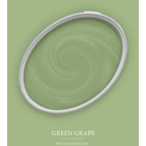 Peinture vert clair mat moderne et résistante Peinture facile à appliquer Peinture The Color Kitchen TCK4008 5L
