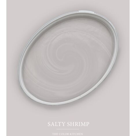 Peinture gris argent mat moderne et résistante Peinture facile à appliquer Peinture The Color Kitchen TCK2001 2,5L (1/4)