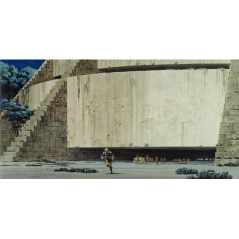 Papier peint panoramique moderne Star Wars Classique RMQ Temple Yavin (1/4)