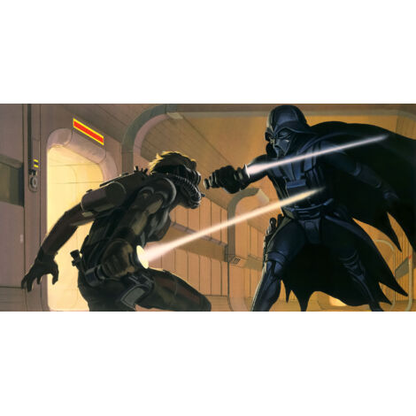 Papier peint panoramique moderne Star Wars Classique RMQ Vader vs Luke (1/4)