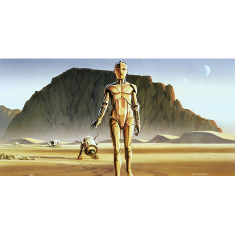 Papier peint panoramique moderne Star Wars Classique RMQ Droïdes (1/4)