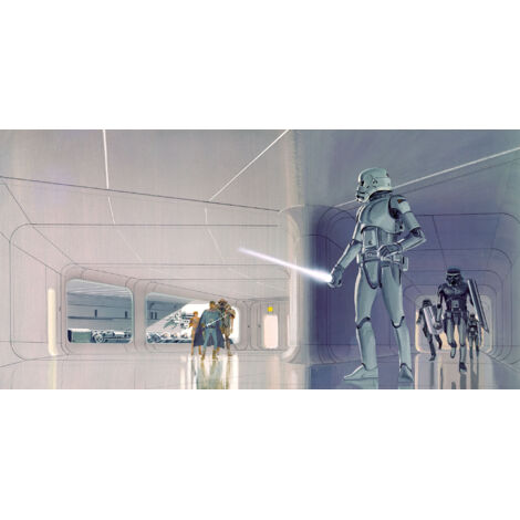 Papier peint panoramique moderne Star Wars Classique RMQ Couloir Stormtroopers (1/4)