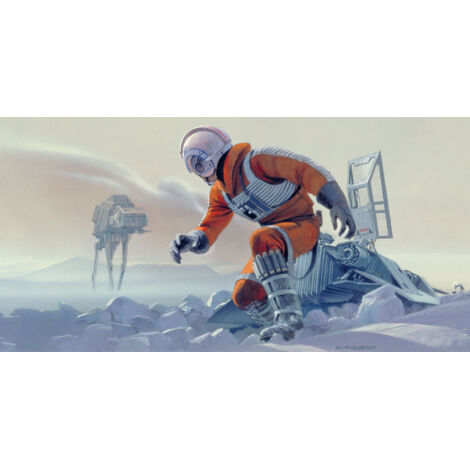 Papier peint panoramique moderne Star Wars Classique RMQ Pilote Bataille Hoth (1/4)