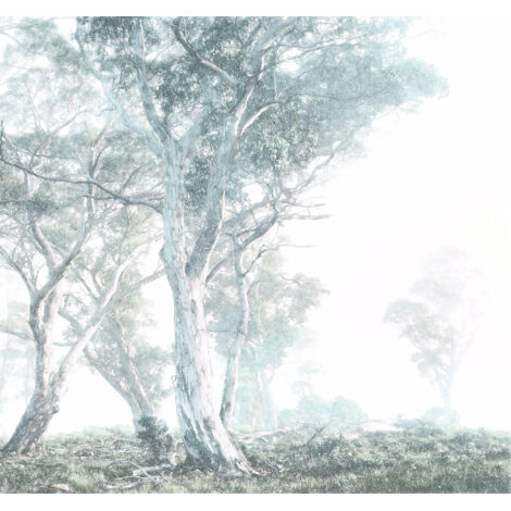 Papier peint panoramique modern Arbres Magiques (1/4)