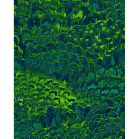 Papier peint panoramique modern Plumes (1/4)
