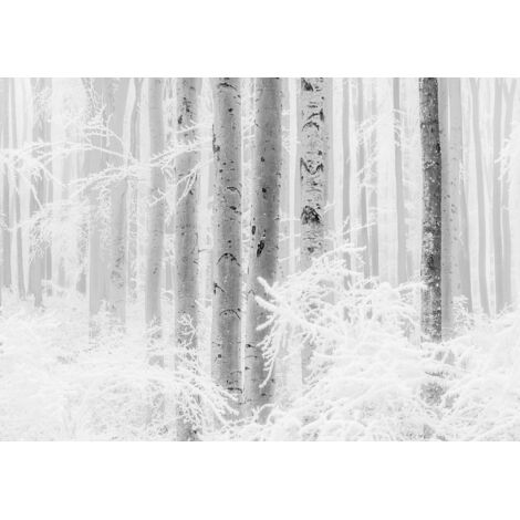 Papier peint panoramique minimaliste,modern Bois d’Hiver (1/4)