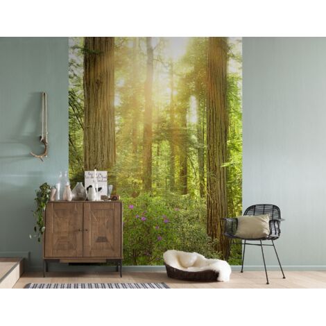 Papier peint panoramique naturel Redwood