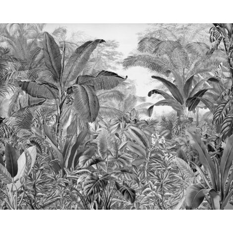 Poster XXL jungle en noir et blanc l350 x h280 cm (1/5)