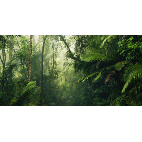 Papier peint panoramique naturel Mondes Tropicaux (1/4)