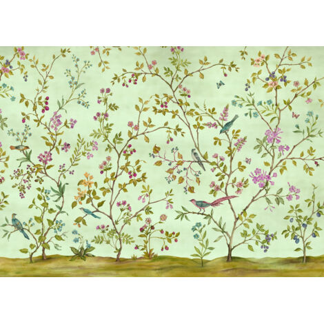 Papier peint panoramique modern Oiseaux du Paradis (1/5)