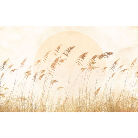 Papier peint panoramique modern Herbe des Dunes (1/5)